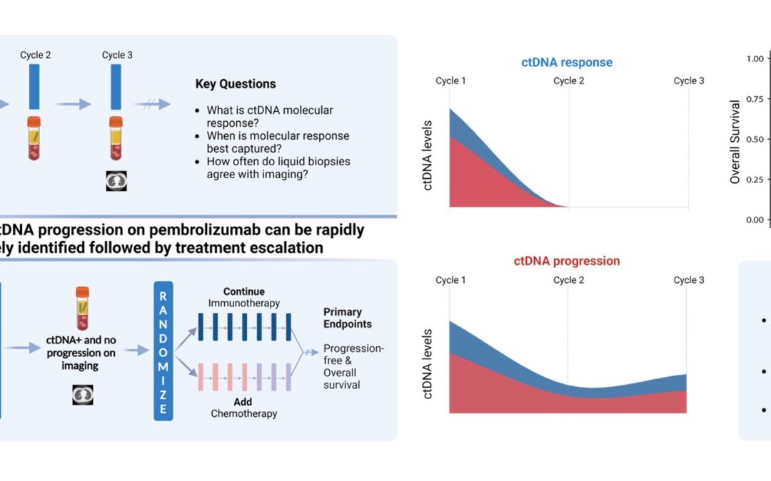 Bridging liquid biopsy discoveries with clinical cancer: Harnessing ctDNA Molecular Response to Predict Clinical Outcomes and Guide Therapeutic Decision Making for Individuals with Lung Cancer.