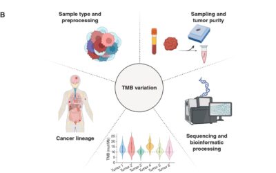 Of Context, Quality, and Complexity: Fine-combing Tumor Mutational Burden in Immunotherapy-Treated Cancers